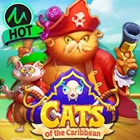 Cats of the Caribbean